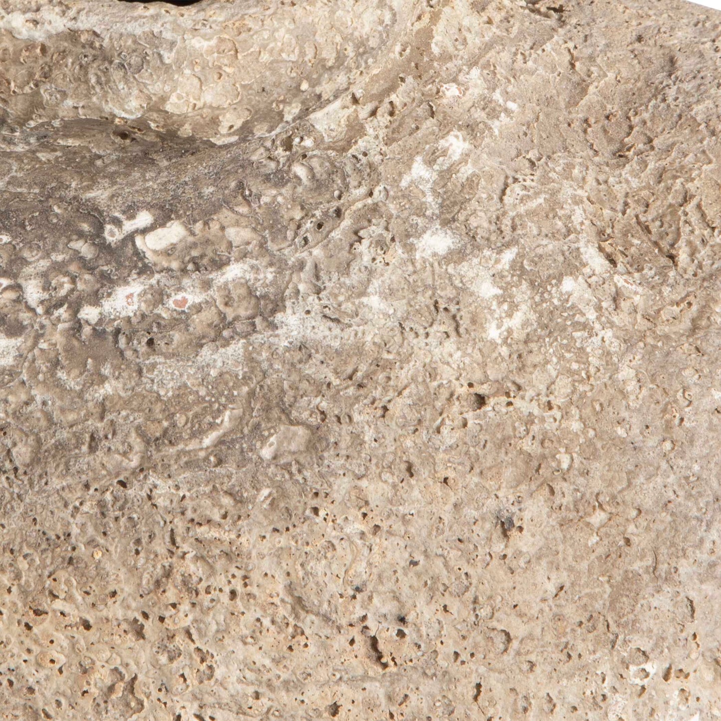 Ancient Echos Vases Set/2