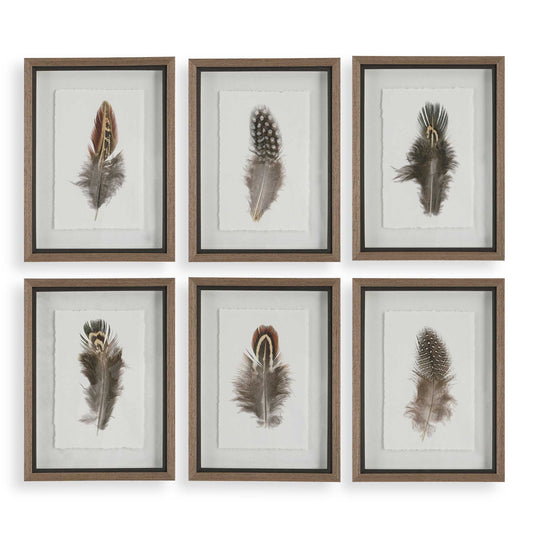 Birds Of A Feather Framed Prints Set/6