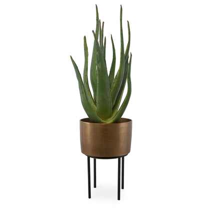 Arabia Aloe Planter