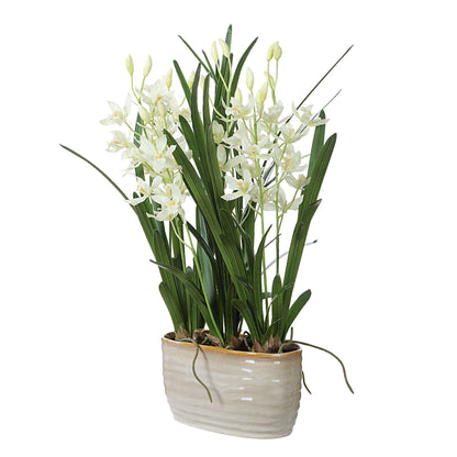 Ariana Orchid Planter
