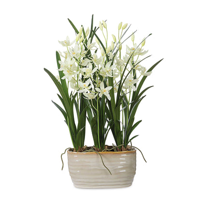 Ariana Orchid Planter